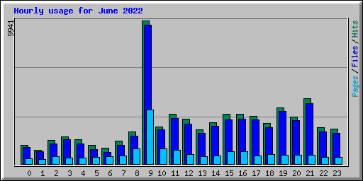 Hourly usage for June 2022